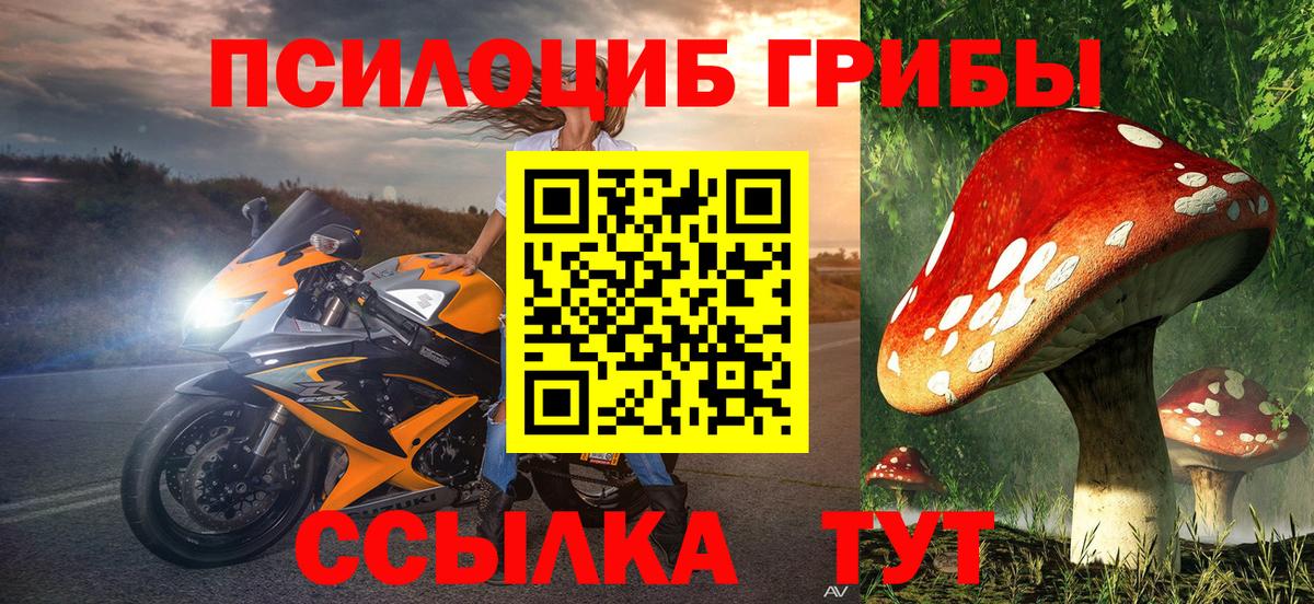Галлюциногенные грибы Psilocybine cubensis  Вход с VPN  Псилоцибиновые грибы мицелий  Старый Оскол 